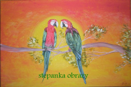 17 USMIŘOVÁNÍ (osobní)